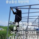 홍성직업소개소