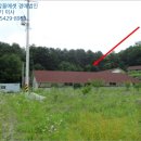 상동천교