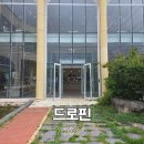 울산 언양 애견동반 대형 카페 드로핀 추천 후기