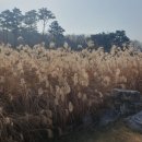 대성주방 이미지