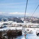 알펜시아 리조트 프레시안