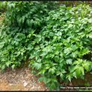 원농장1 이미지