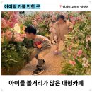 카페오름 이미지