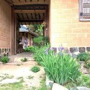 백년펜션 이미지