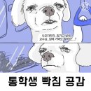 [일상]벼락치기는 제 천성인가봐요/8월 일상 몰아치기/이렇게 정신없이 흘러간 방학은 처음이야