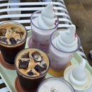 건지목장 | 제주도 카페 / 말 먹이주기, 승마 체험 가능한 서귀포카페 목장카페 밭디 내돈내산 후기