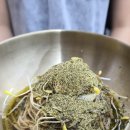 과천 막국수 맛집 태령막국수 소갈비찜 보쌈 과천청사점 관악산 하산 후 먹걸리 추천