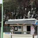 통큰어촌후계자 | 인천 실미도유원지 갯벌체험 바지락캐기 4월에 다녀온 후기 ｜ 주차, 가격, 옷차림, 준비물 꿀팁