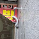 양림로 이미지