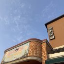 제주도파티게스트하우스문어오빠 | 혼자 제주 왔다가 친구 생겨서 가는 제주 게하 파티 협재 게스트하우스 문어오빠