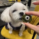 럭투밋(Lucky to meet U) 이미지