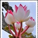 마전경로당 이미지