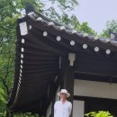 청학동 | 자연과 전통이 살아 숨 쉬는 곳, 청학동 여행 후기