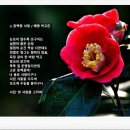 동백PC 네이버블로그