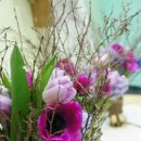 스몰핸드 스튜디오 이미지