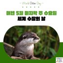 오늘은 🌏세계 수달의 날🦦 이미지