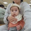 악기는벨라