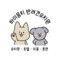 하이뭉치 유치원 이미지