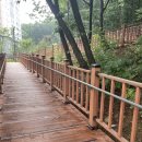 숲속하나어린이집 이미지