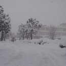 울진고등학교 이미지