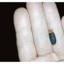 별스런 산책 이미지