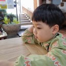 김밥일번지 사파 이미지