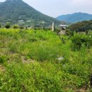 북성농장 이미지