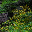 청계산 등산로 이미지