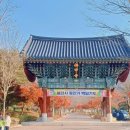 불갑사 | 영광 불갑사 단풍 절정 시기 방문기와 주변 가볼만한 곳 정리