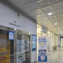 영등포 우신종합 동물병원 | 영등포 동물의료센터24인치 | 반려견 엑스레이 초음파 전문센터 방문기