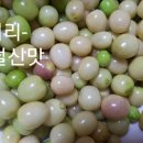 골든<b>베리</b> 2종 -5/2발송