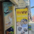 댕댕냥냥부천점 이미지