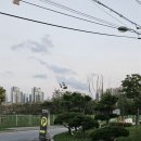 펫케아(PETKEA)