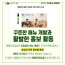 애플김밥 이미지