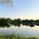 필리조트 이미지