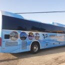 진도시티투어 이미지