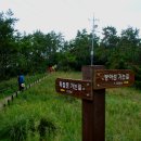 진도1호 이미지