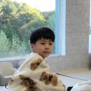 플랑드베르 풀빌라 이미지