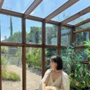 스테이서하온 이미지