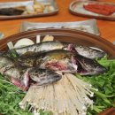 동강쏘가리 이미지