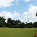 (주)삼영관광일출랜드