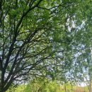 갑천탑공인중개사사무소 이미지