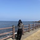 허박 | 제주 | Ep.3 | 이허박쓰 제주여행 (3) : 먹고 또 먹고, 애월-서귀포-제주시내