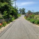 포승장안로 이미지