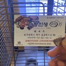 생한우곱창