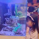 카페블루문 - 미추홀구 미추홀대로614번길 13-11 | 남양주 블루문 카페🦈ㅣ주차 • 영업시간 • 입장료 • 후기