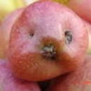 부여군민체육관 이미지