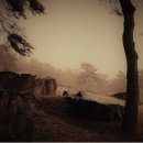 고창고인돌(서울) 이미지