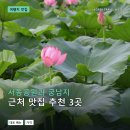 GR(부여군)-[성왕로]-상-8 | 서동공원과 궁남지 근처 맛집 추천 3곳: 메뉴 가격과 후기 장단점 정리