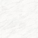 반려마루 동물병원 이미지